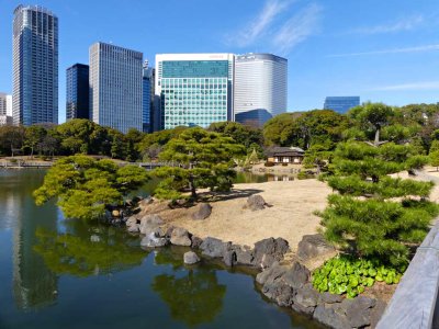 Hamarikyu Gardens