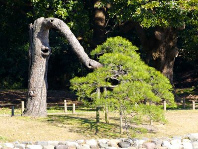Hamarikyu Gardens