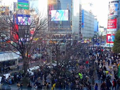 Shibuya Crossing