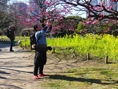 Hamarikyu Gardens