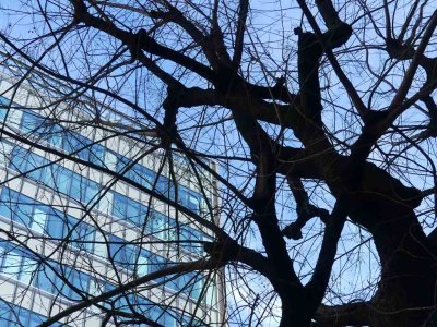 g12/61/1159561/3/170614648.UALDDTLX.jpg