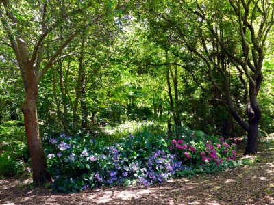 Red Cow Farm Garden, Sutton Forest