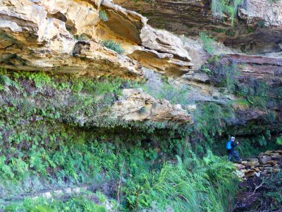 Undercliff Track Wentworth Falls