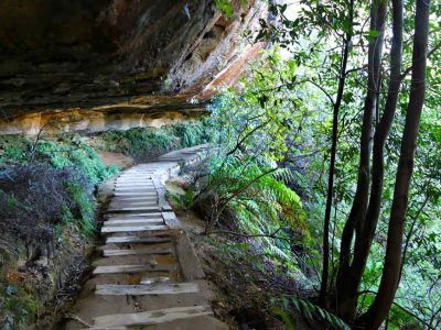 Undercliff Track Wentworth Falls