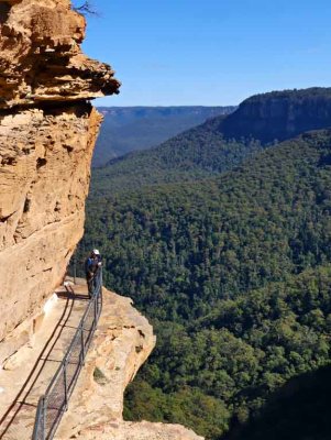 Overcliff Track Wentworth Falls