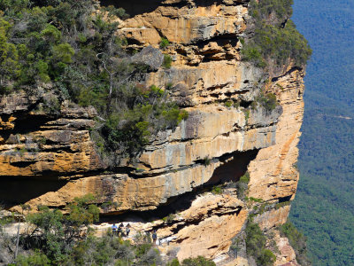 Overcliff Track Wentworth Falls