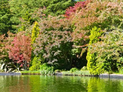 Bebeah Gardens