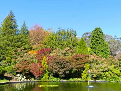 Bebeah Gardens