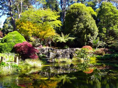 Mt Wilson Gardens