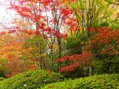 Bebeah Gardens
