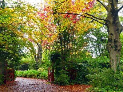 Bebeah Gardens
