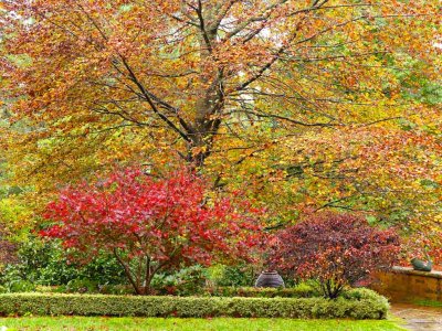 Windyridge Garden