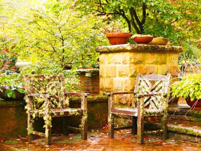Windyridge Garden