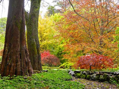 Windyridge Garden