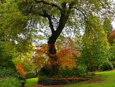 Windyridge Garden