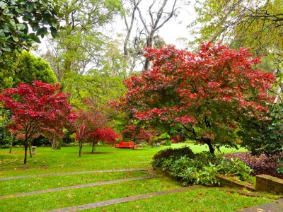 Windyridge Garden