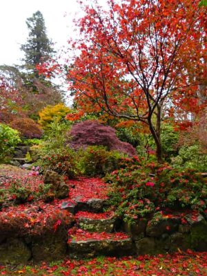 Windyridge Garden