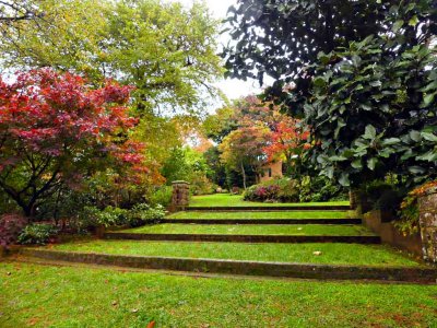 Windyridge Garden