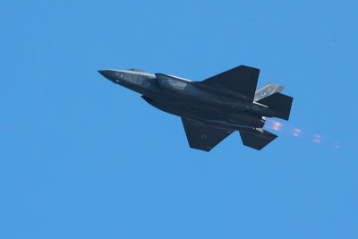 AX0Y1538.jpg