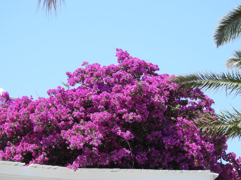 DSCN8542.JPG