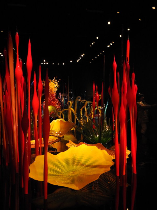 DSCN9332.JPG