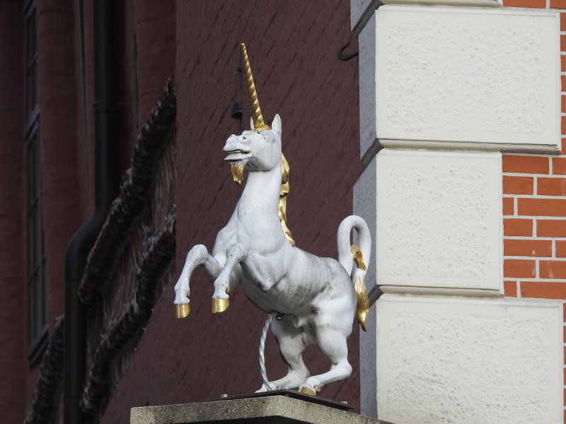 DSCN0432.JPG