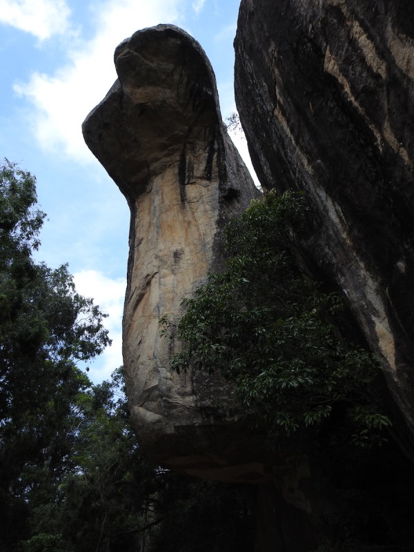 DSCN0939.JPG
