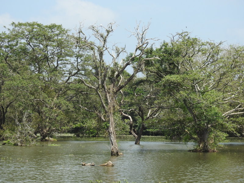 DSCN0964.JPG