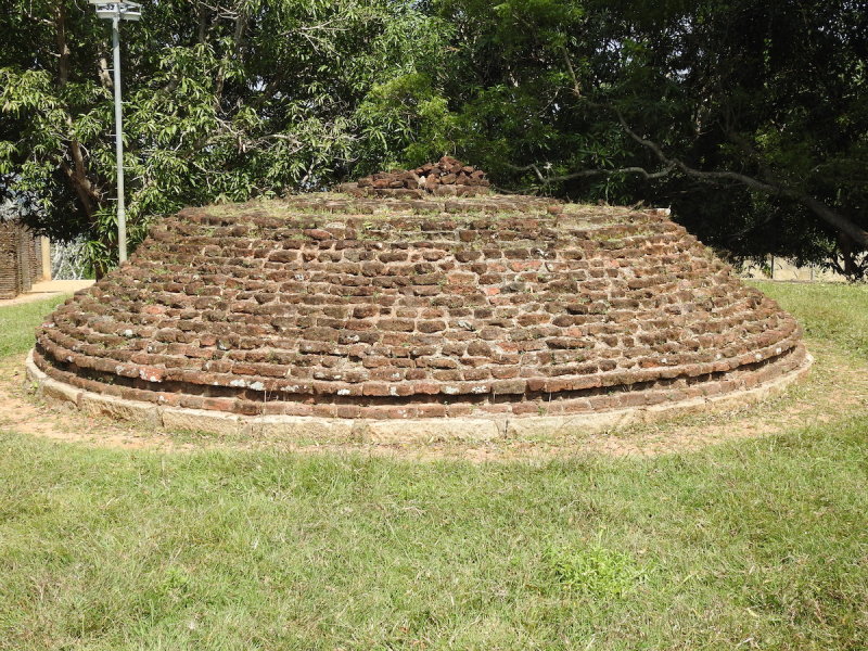 DSCN1058.JPG