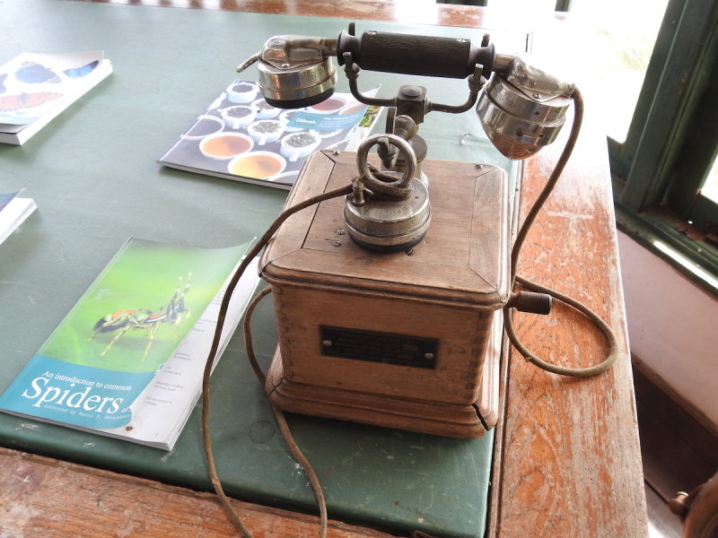 DSCN1706.JPG