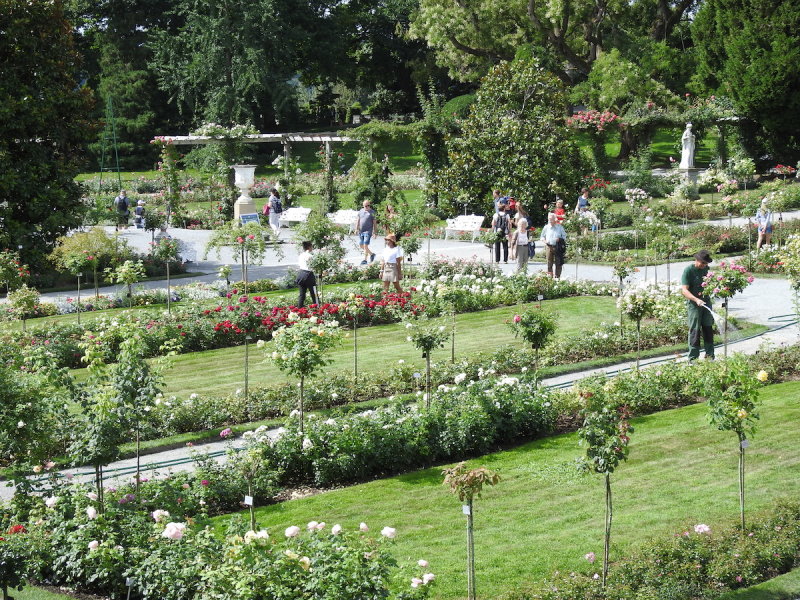 DSCN3637.JPG