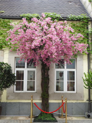 DSCN7662.JPG