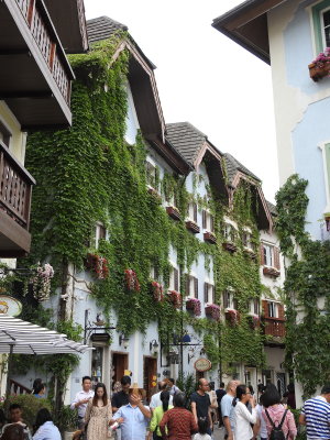 DSCN7676.JPG
