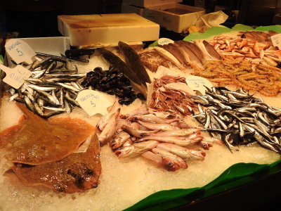 DSCN7755.JPG
