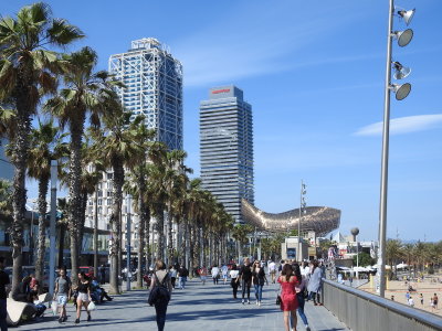 DSCN7841.JPG
