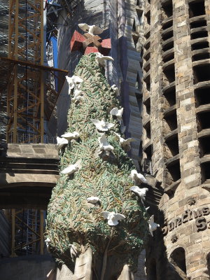 DSCN7848.JPG
