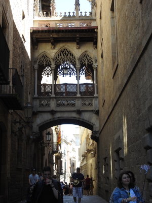 DSCN8224.JPG