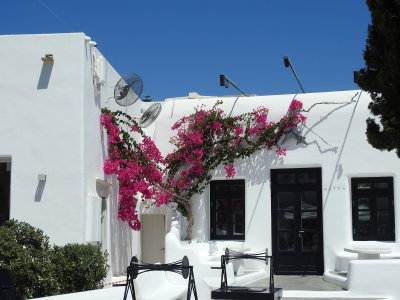 DSCN8655.JPG
