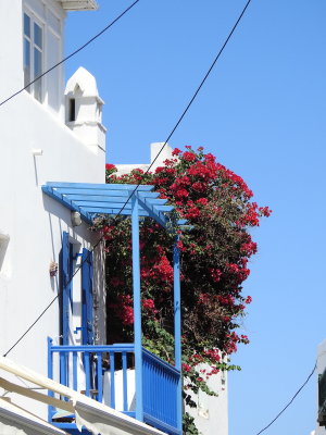 DSCN8659.JPG