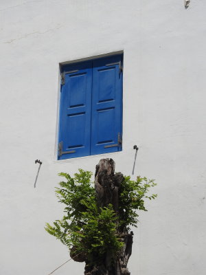 DSCN8661.JPG