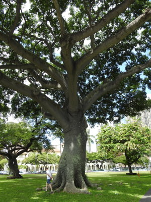 DSCN9167.JPG