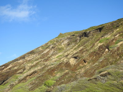 DSCN9233.JPG