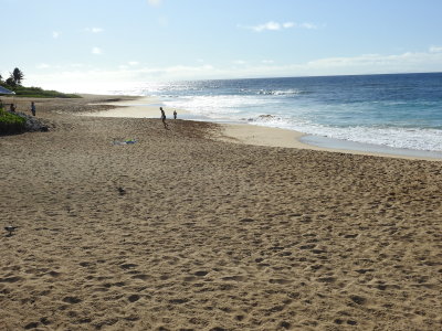 DSCN9242.JPG