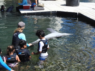 DSCN9264.JPG