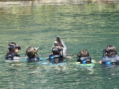 DSCN9277.JPG