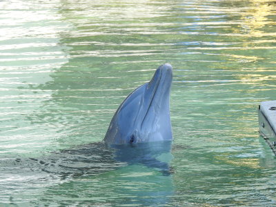 DSCN9280.JPG