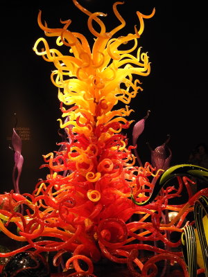 DSCN9334.JPG