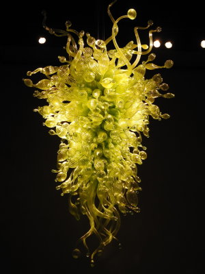 DSCN9338.JPG
