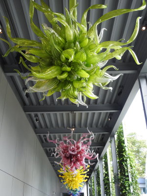 DSCN9349.JPG