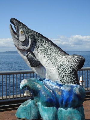 DSCN9390.JPG